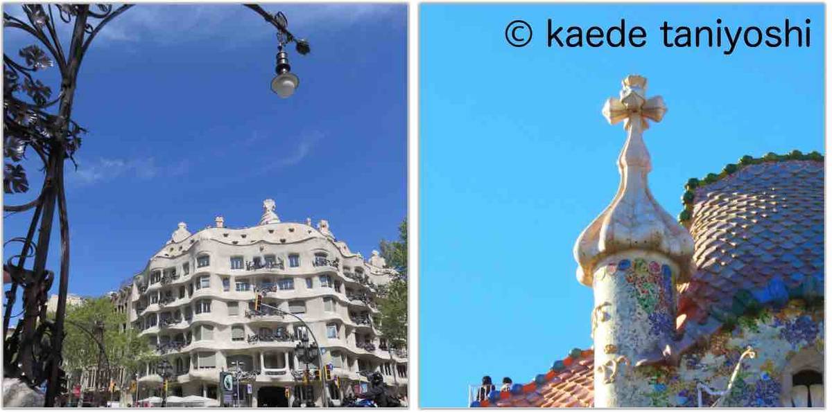 f:id:kaedetaniyoshi:20191003163846j:plain f:id:kaedetaniyoshi:20191003163846j:plain