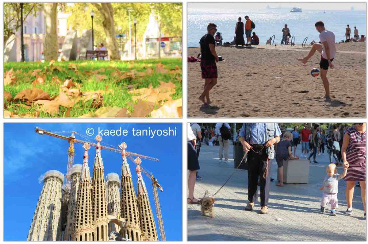 f:id:kaedetaniyoshi:20191018015212j:plain