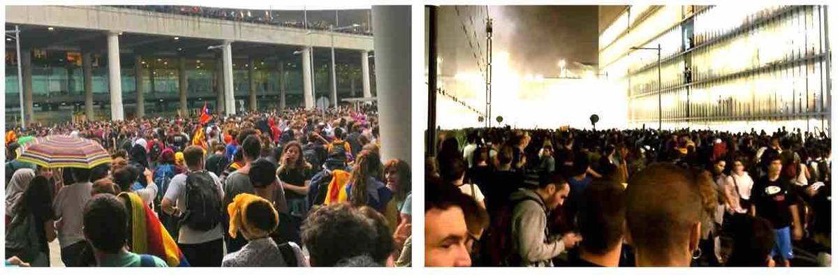 f:id:kaedetaniyoshi:20191018015802j:plain