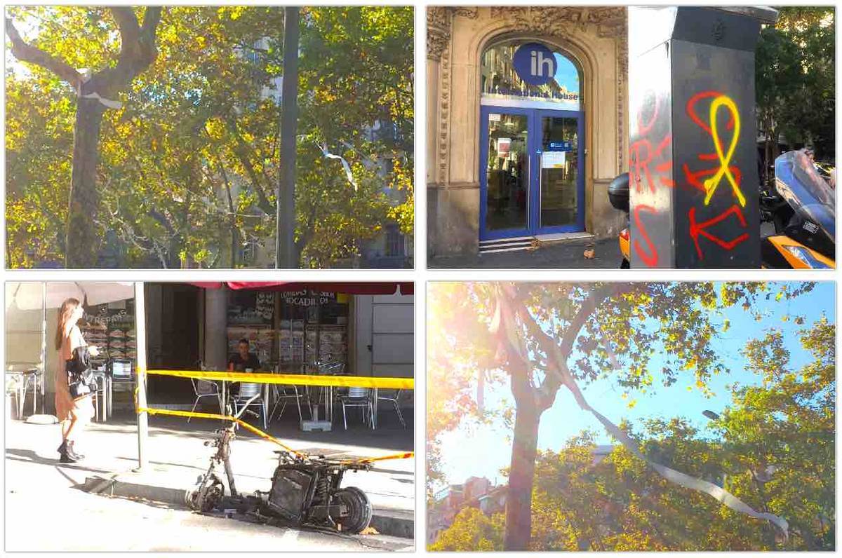 f:id:kaedetaniyoshi:20191018020502j:plain