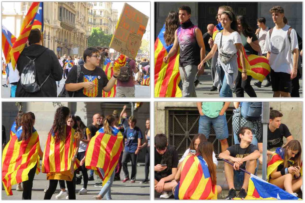 f:id:kaedetaniyoshi:20191018020756j:plain