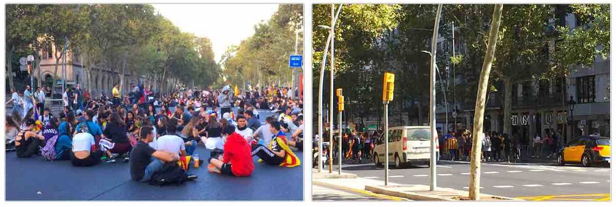 f:id:kaedetaniyoshi:20191018021449j:plain