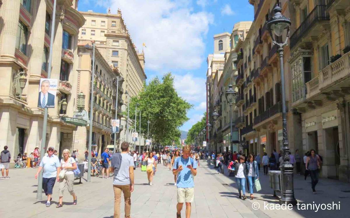 f:id:kaedetaniyoshi:20200217192246j:plain