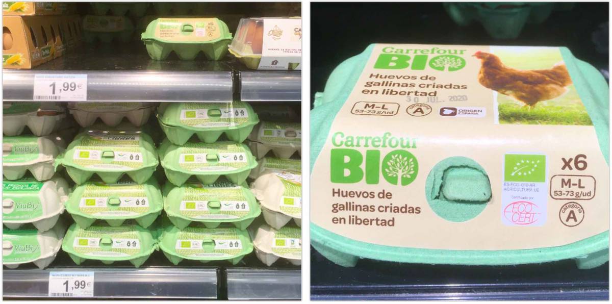 f:id:kaedetaniyoshi:20200727023538j:plain