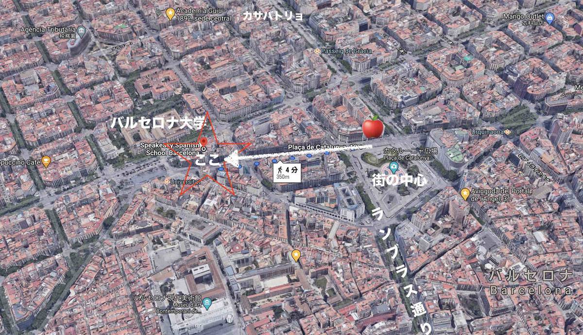 f:id:kaedetaniyoshi:20201128003149j:plain