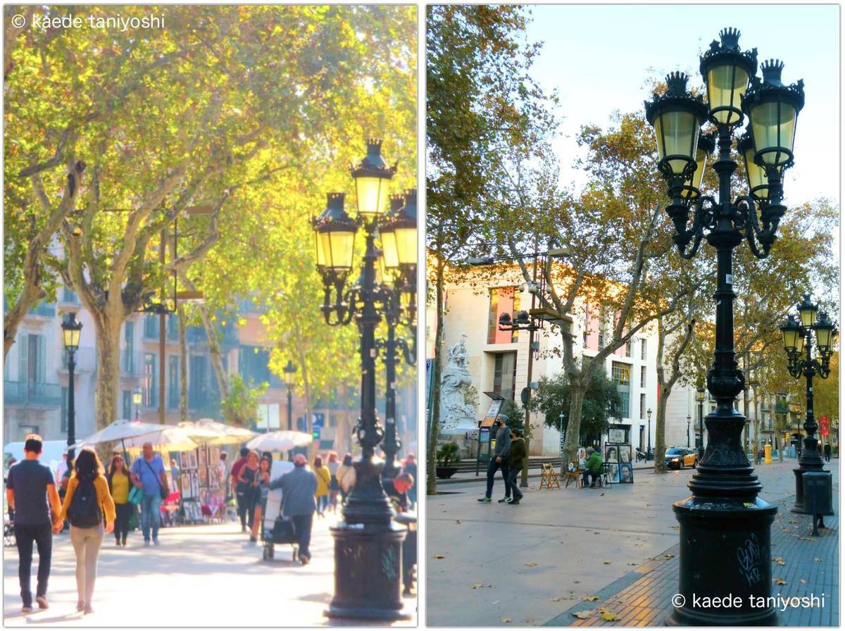 f:id:kaedetaniyoshi:20201204065622j:plain