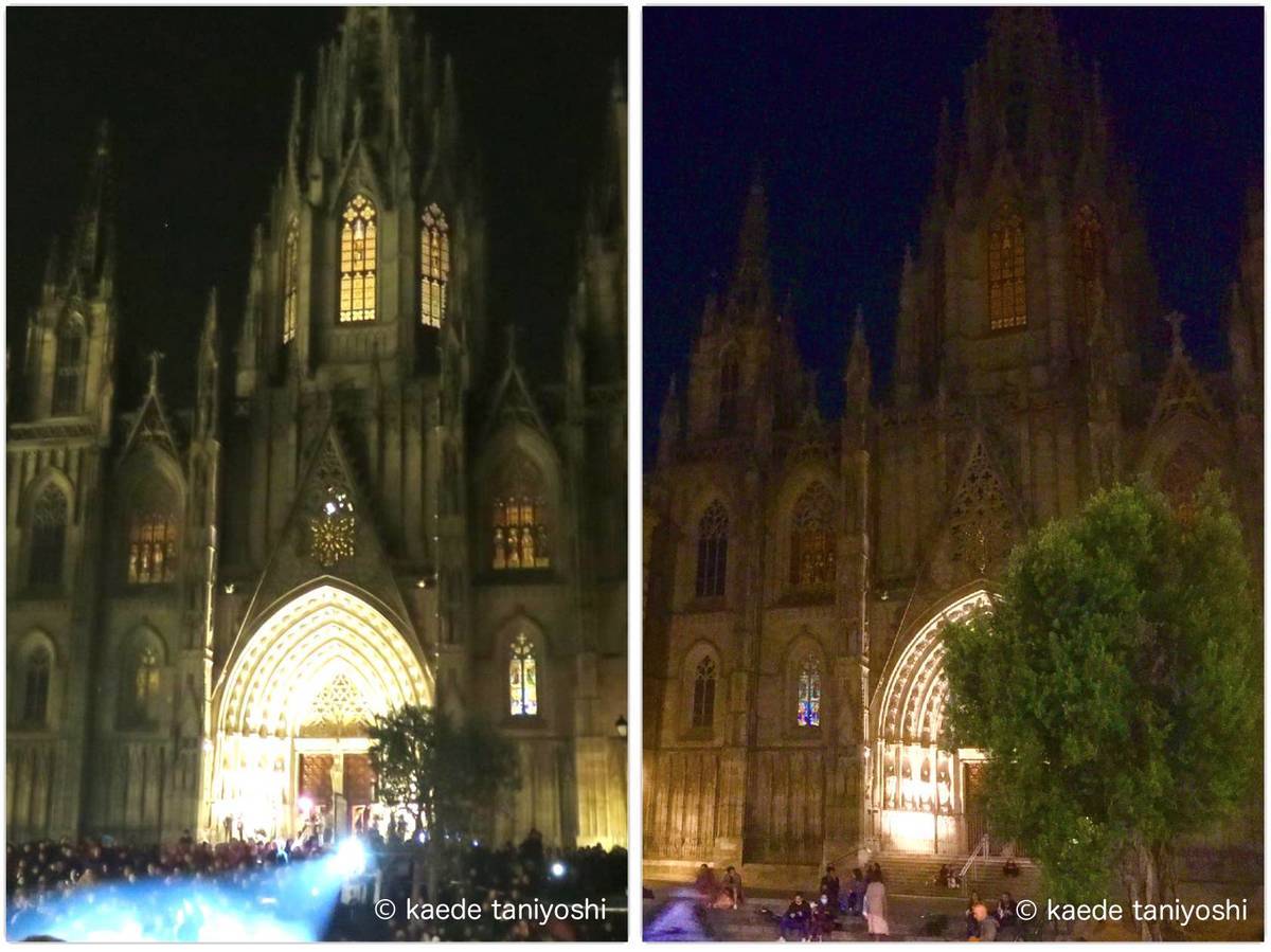 f:id:kaedetaniyoshi:20201204065623j:plain