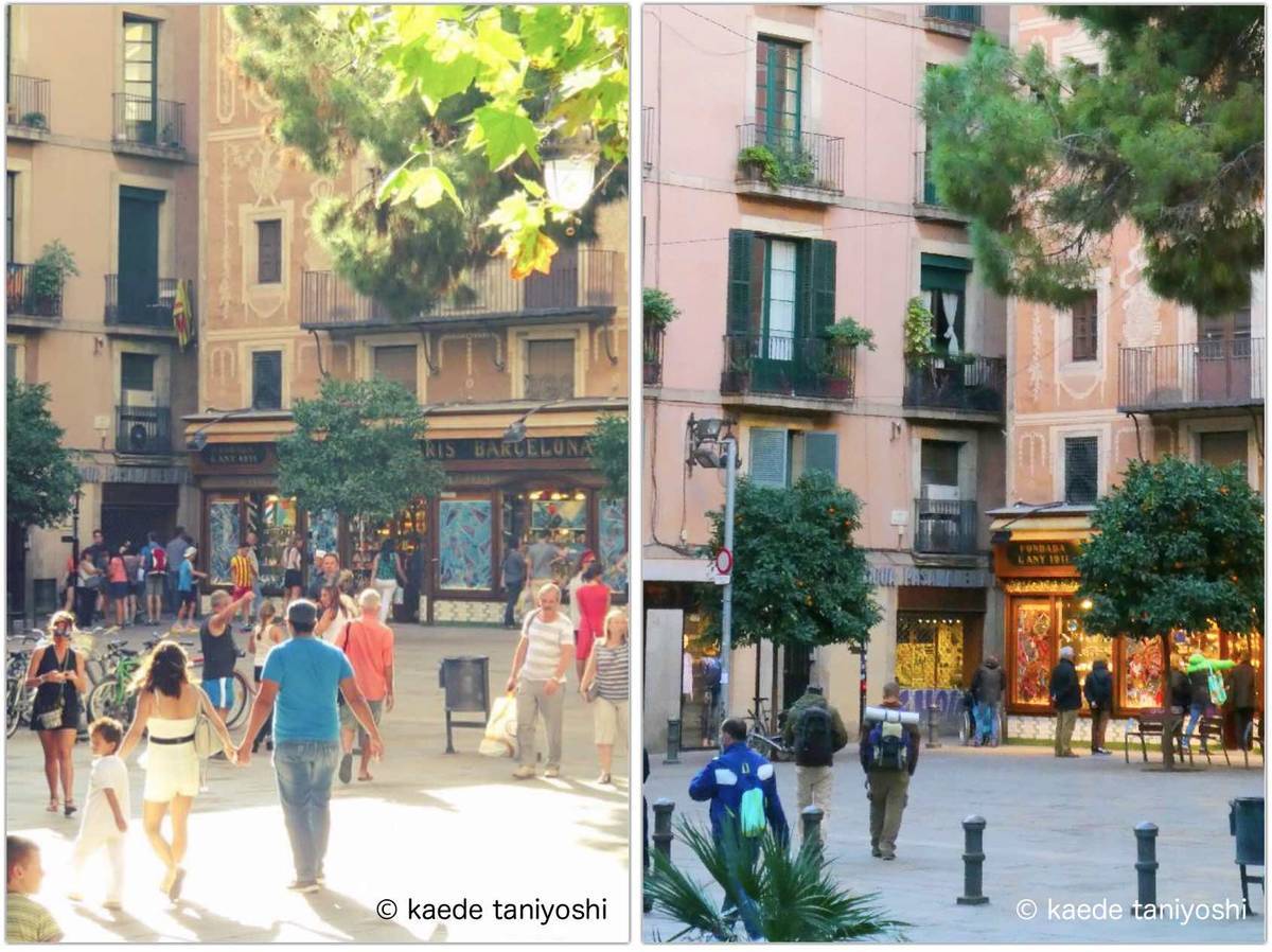 f:id:kaedetaniyoshi:20201204065626j:plain