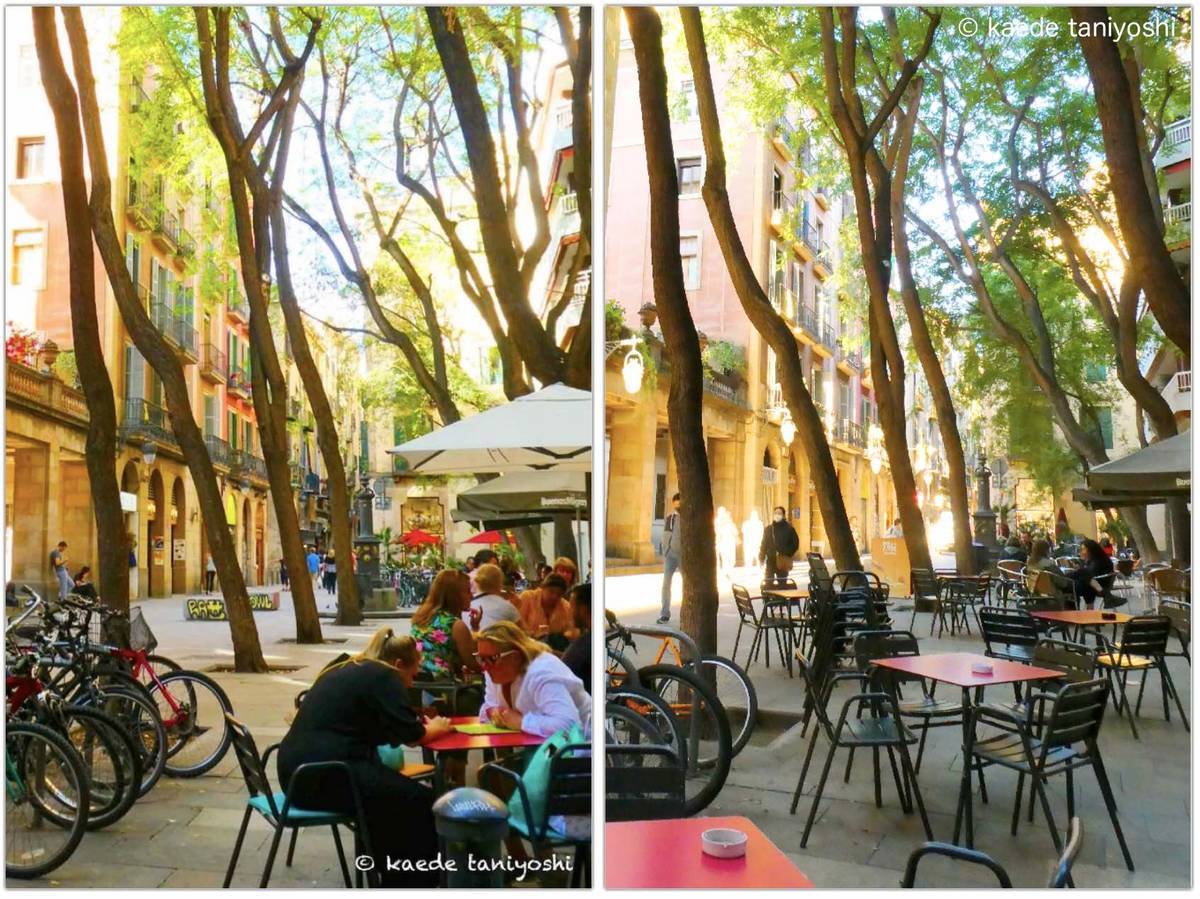 f:id:kaedetaniyoshi:20201204065628j:plain