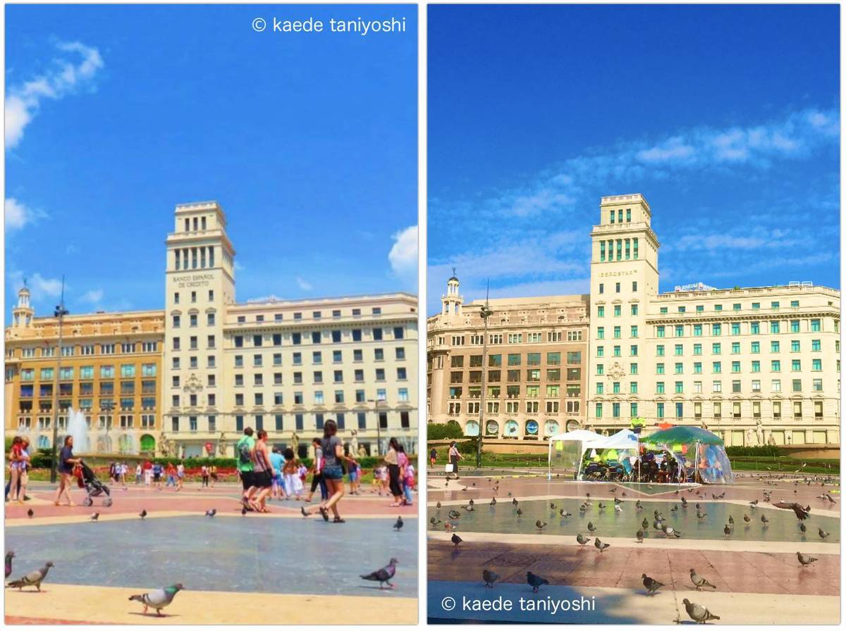 f:id:kaedetaniyoshi:20201204065639j:plain