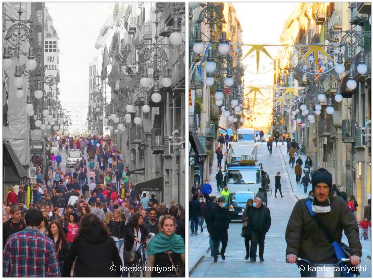 f:id:kaedetaniyoshi:20201204065727j:plain