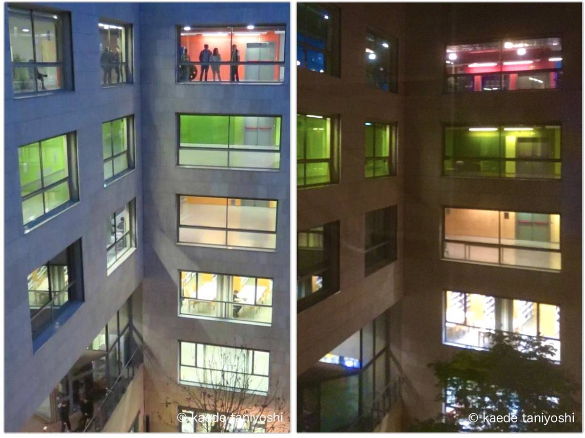 f:id:kaedetaniyoshi:20201204065728j:plain