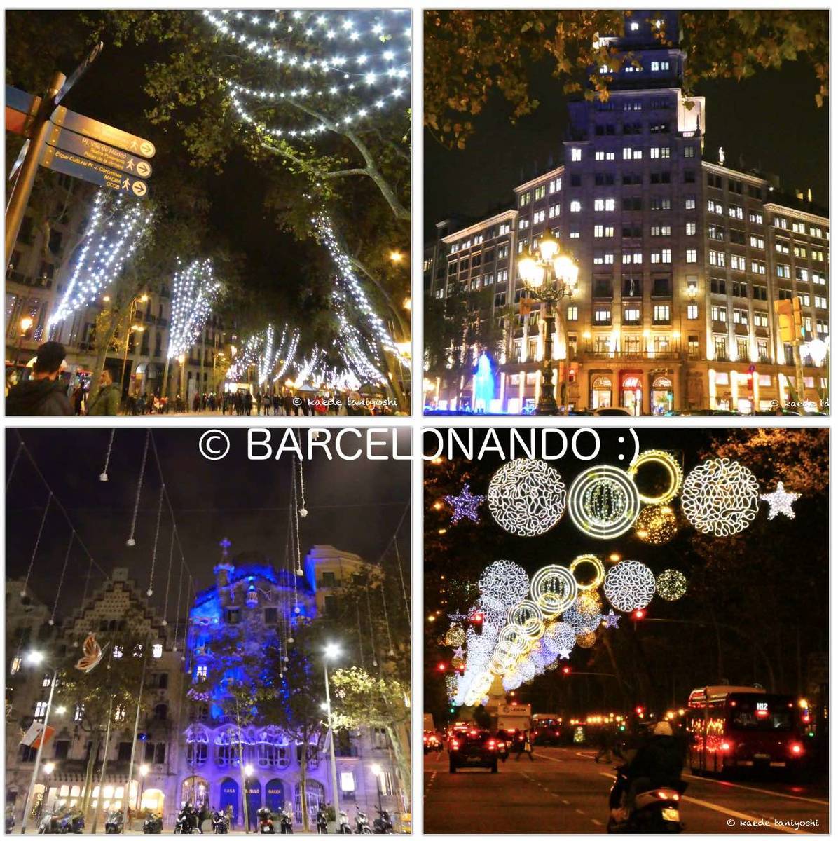 f:id:kaedetaniyoshi:20201204074417j:plain