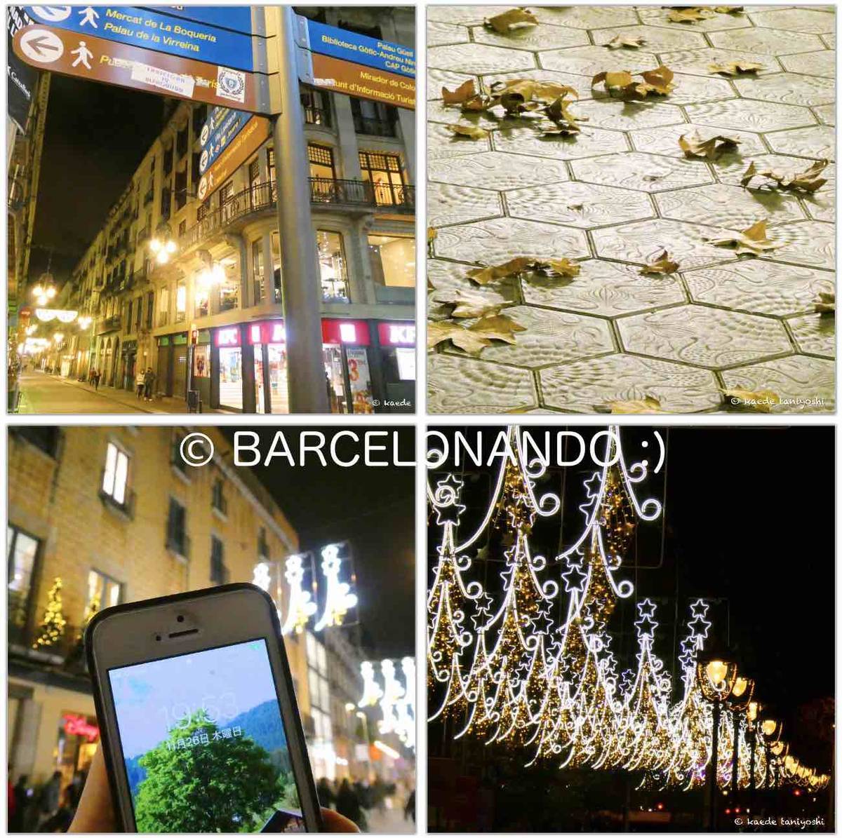 f:id:kaedetaniyoshi:20201205072405j:plain