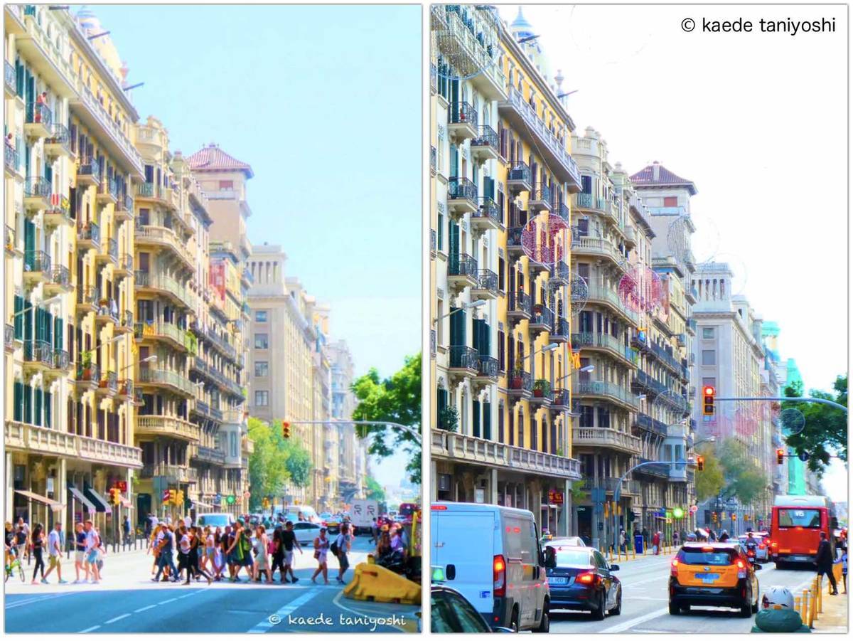 f:id:kaedetaniyoshi:20201206040006j:plain