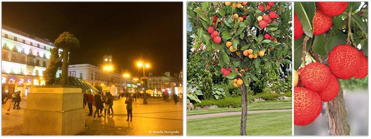 f:id:kaedetaniyoshi:20210307091032j:plain