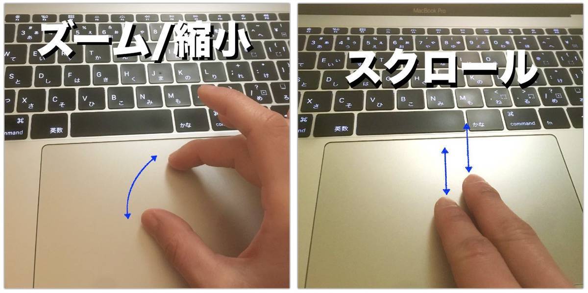 f:id:kaedetaniyoshi:20210310055717j:plain