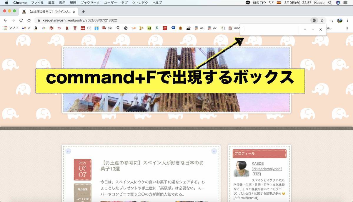 f:id:kaedetaniyoshi:20210310070028j:plain