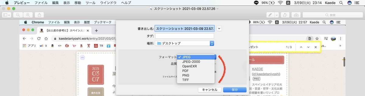 f:id:kaedetaniyoshi:20210310071622j:plain
