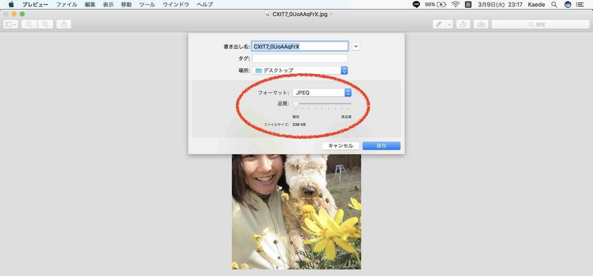f:id:kaedetaniyoshi:20210310071853j:plain