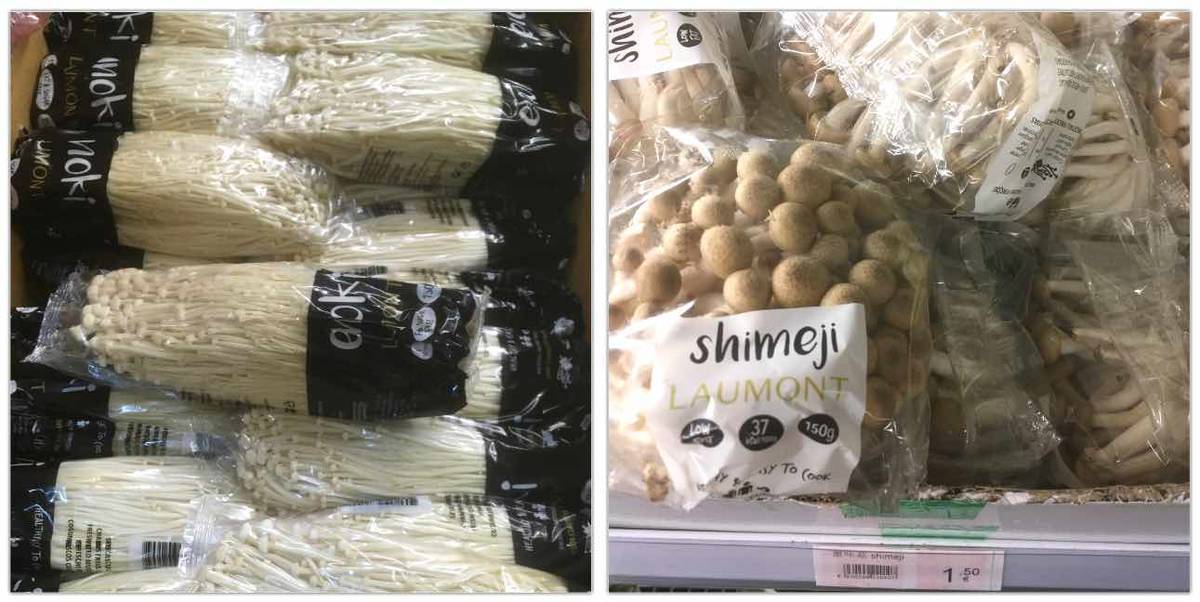 f:id:kaedetaniyoshi:20210326233046j:plain