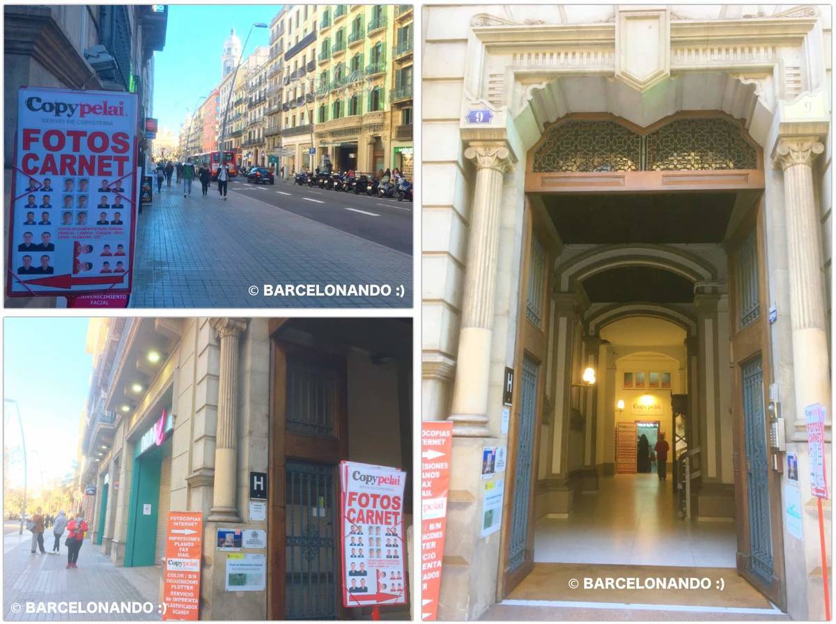 f:id:kaedetaniyoshi:20210408070403j:plain