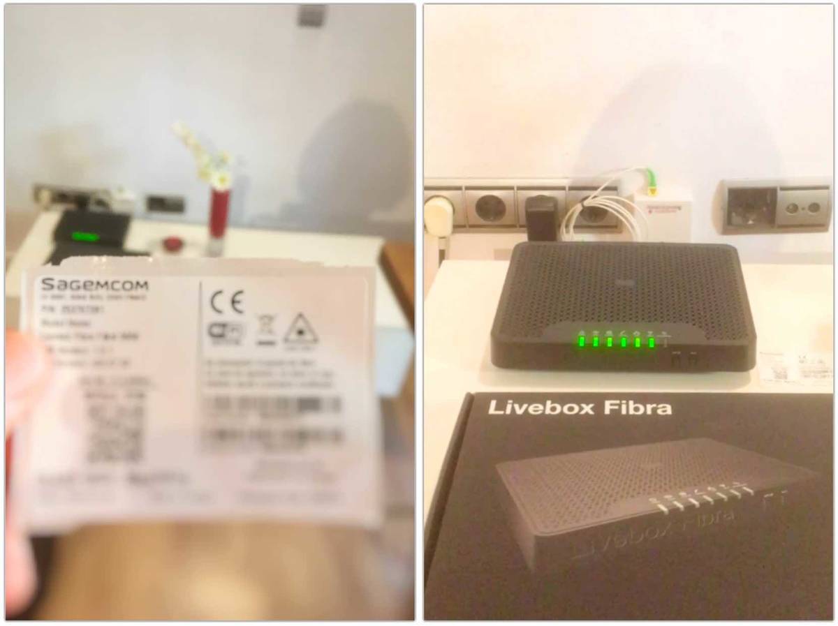 f:id:kaedetaniyoshi:20210507155503j:plain