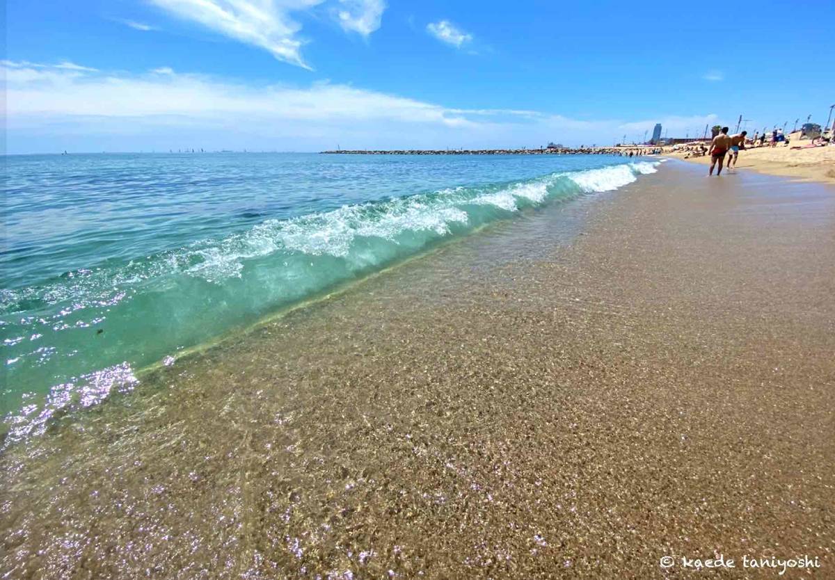 f:id:kaedetaniyoshi:20210604002237j:plain