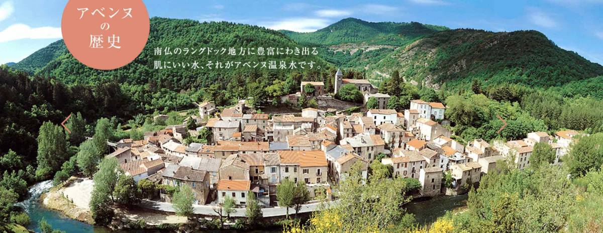 f:id:kaedetaniyoshi:20210604022001j:plain