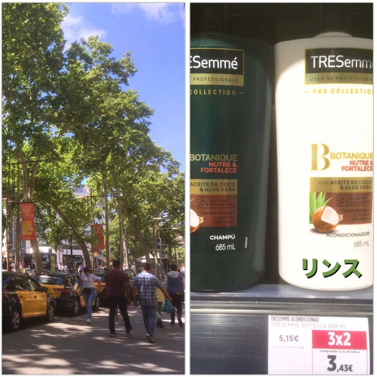 f:id:kaedetaniyoshi:20210604182929j:plain