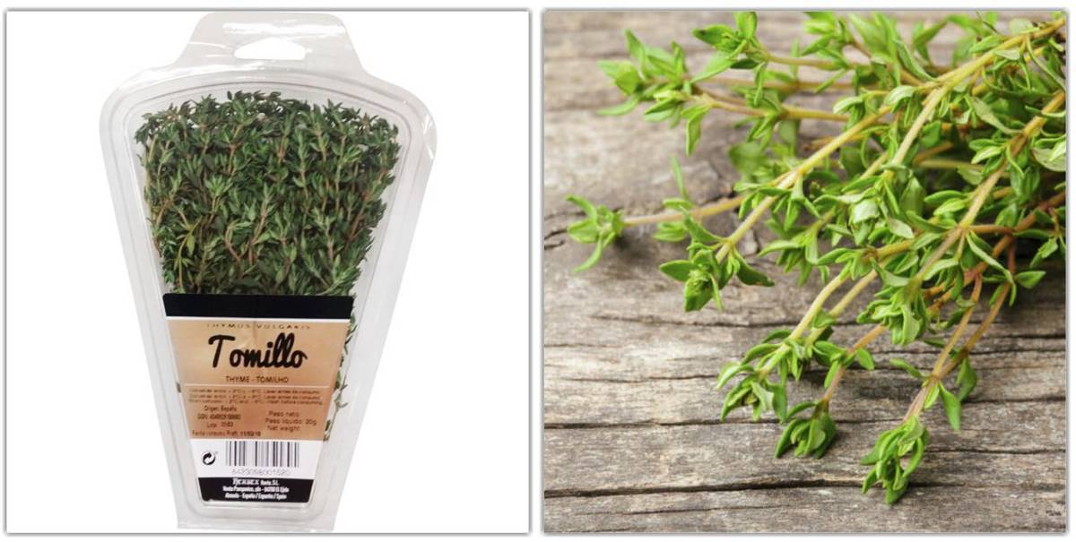 f:id:kaedetaniyoshi:20210808184005j:plain