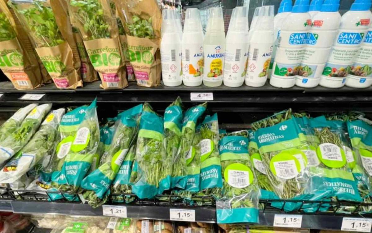 f:id:kaedetaniyoshi:20210812072330j:plain