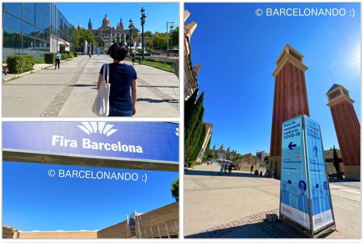 f:id:kaedetaniyoshi:20210818083946j:plain