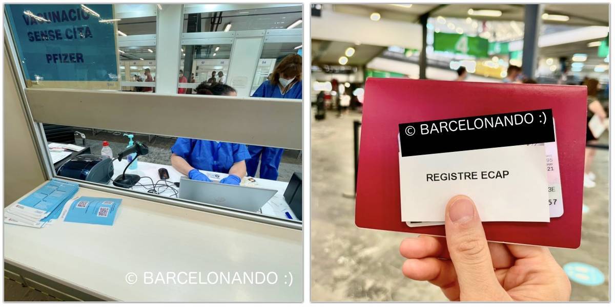 f:id:kaedetaniyoshi:20210818090848j:plain