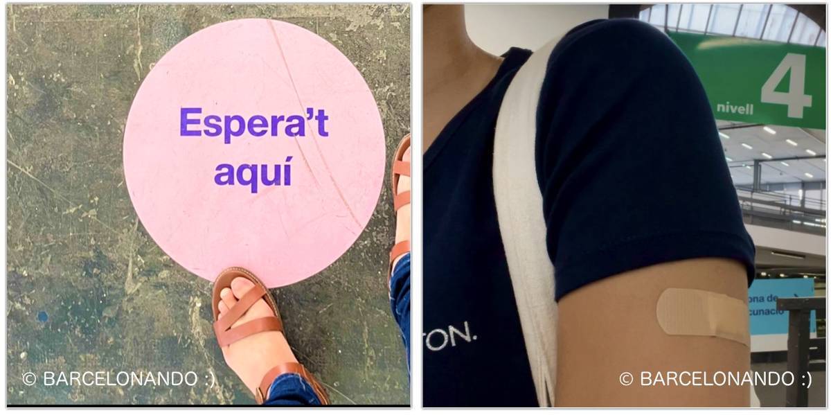 f:id:kaedetaniyoshi:20210818091412j:plain