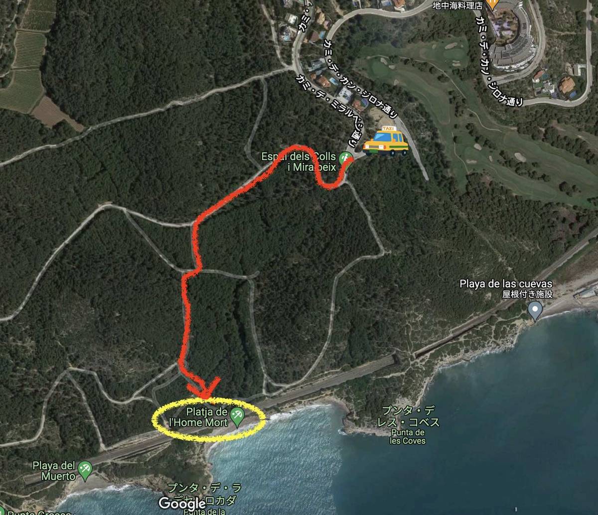 f:id:kaedetaniyoshi:20210918054546j:plain