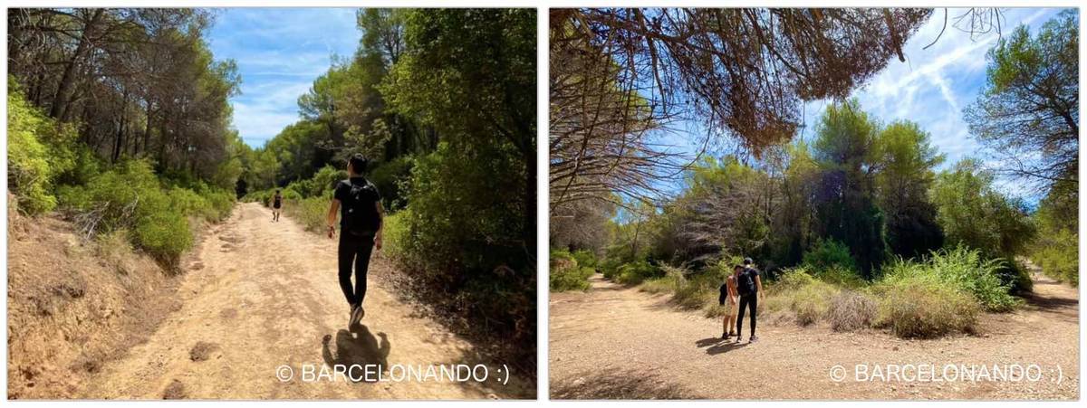 f:id:kaedetaniyoshi:20210918072101j:plain