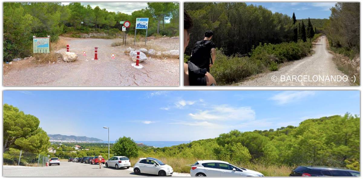 f:id:kaedetaniyoshi:20210919174122j:plain