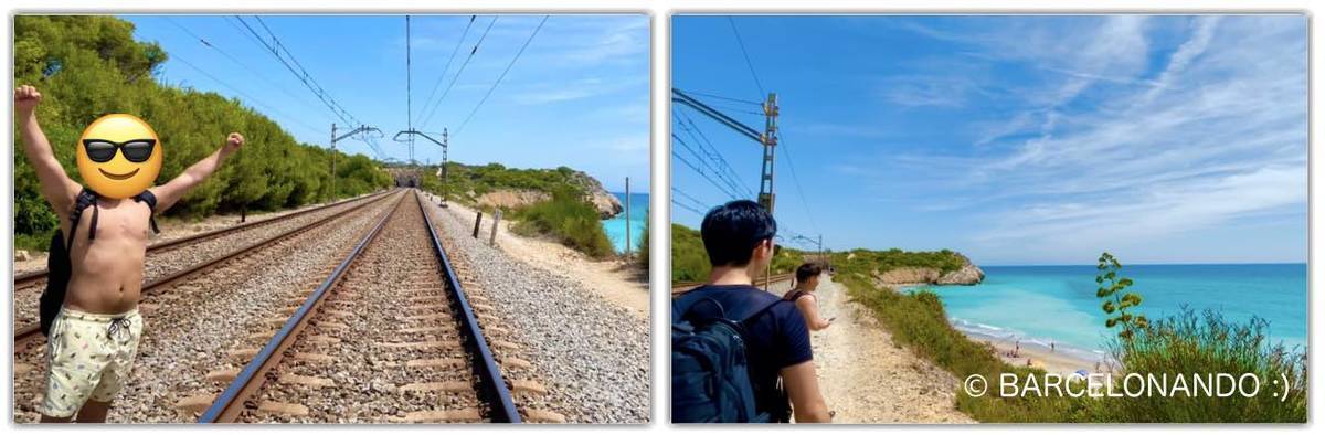 f:id:kaedetaniyoshi:20210919174344j:plain