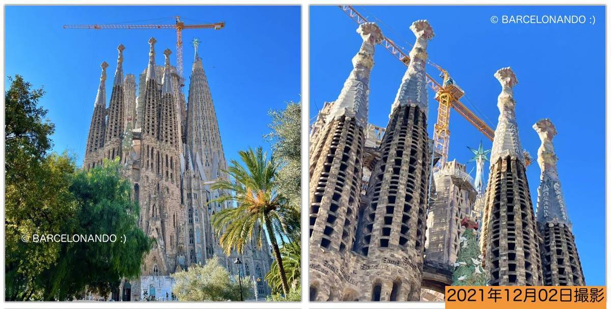 f:id:kaedetaniyoshi:20211210023404j:plain