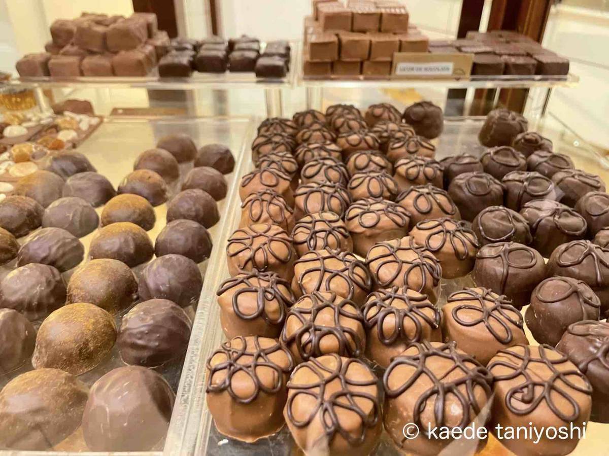 f:id:kaedetaniyoshi:20220406190134j:plain