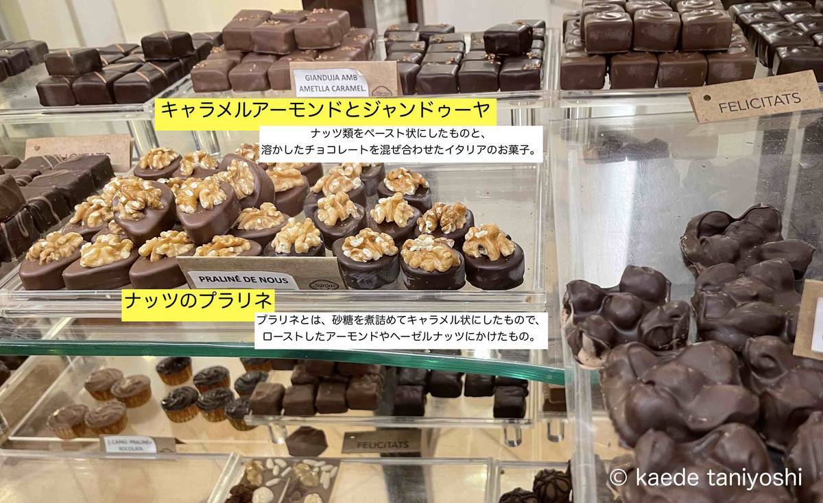 f:id:kaedetaniyoshi:20220406191502j:plain