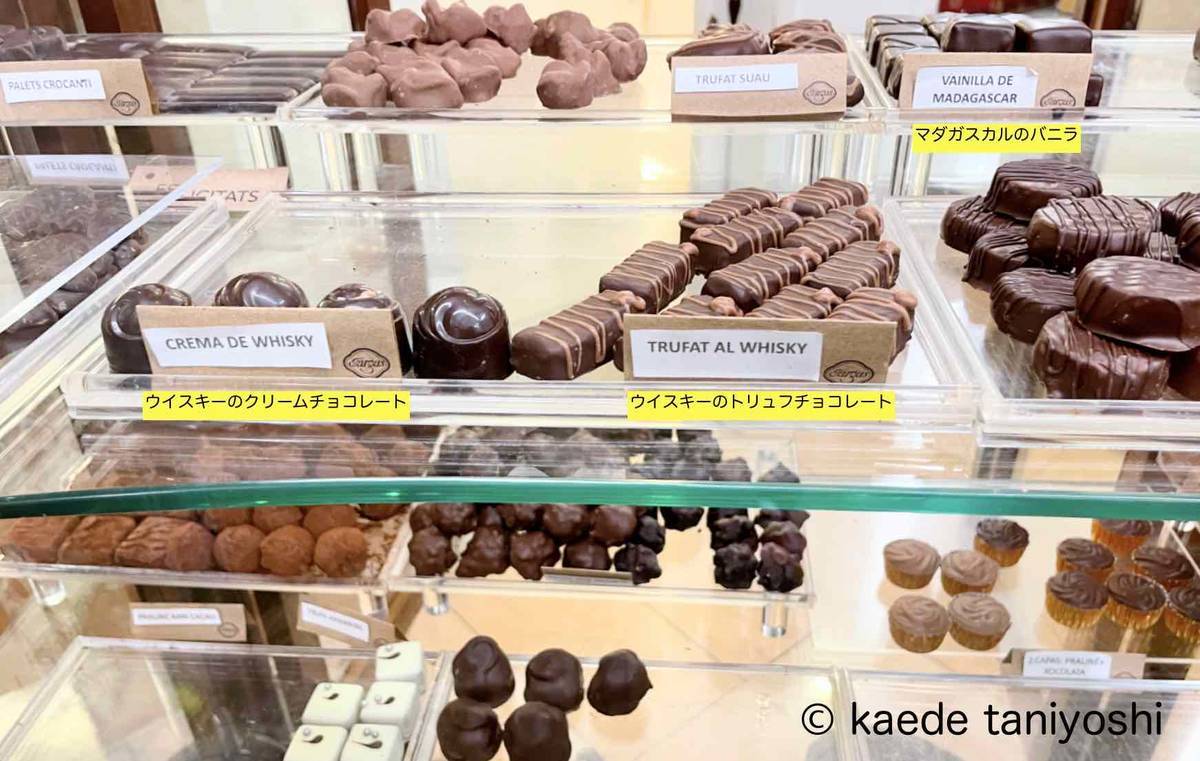 f:id:kaedetaniyoshi:20220406192848j:plain