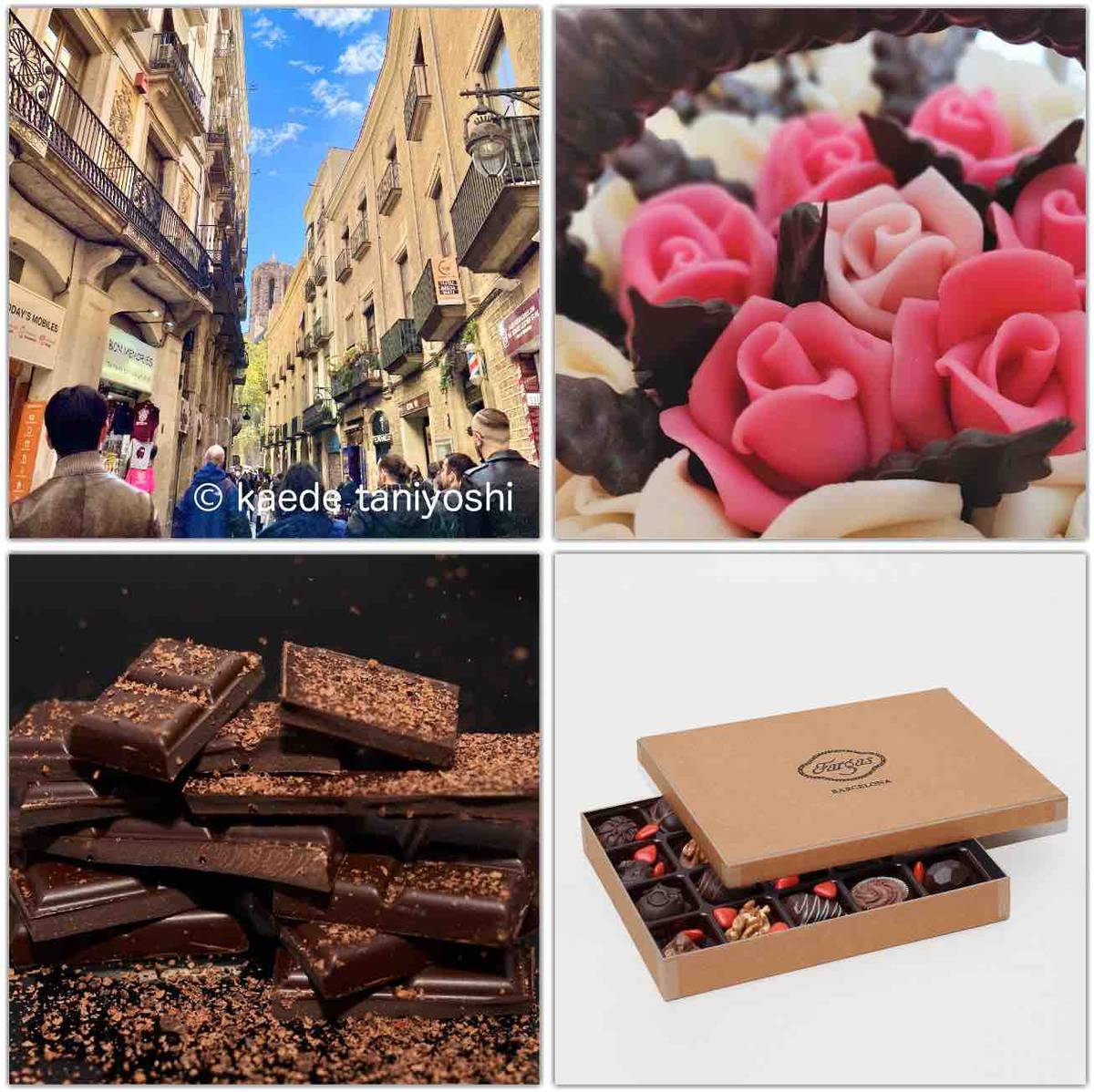 f:id:kaedetaniyoshi:20220406194412j:plain