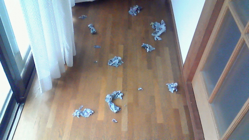 f:id:kaedeya:20180907180140j:plain f:id:kaedeya:20180907180140j:plain