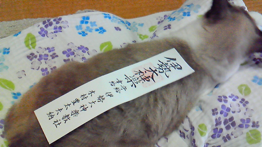 f:id:kaedeya:20180907180159j:plain f:id:kaedeya:20180907180159j:plain