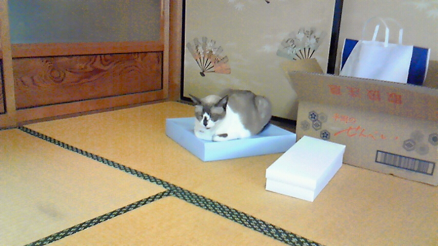 f:id:kaedeya:20180926064859j:plain f:id:kaedeya:20180926064859j:plain