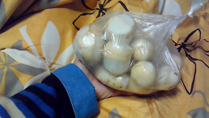 f:id:kaedeya:20181201204706j:plain f:id:kaedeya:20181201204706j:plain