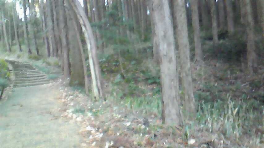 f:id:kaedeya:20190113101614j:plain f:id:kaedeya:20190113101614j:plain