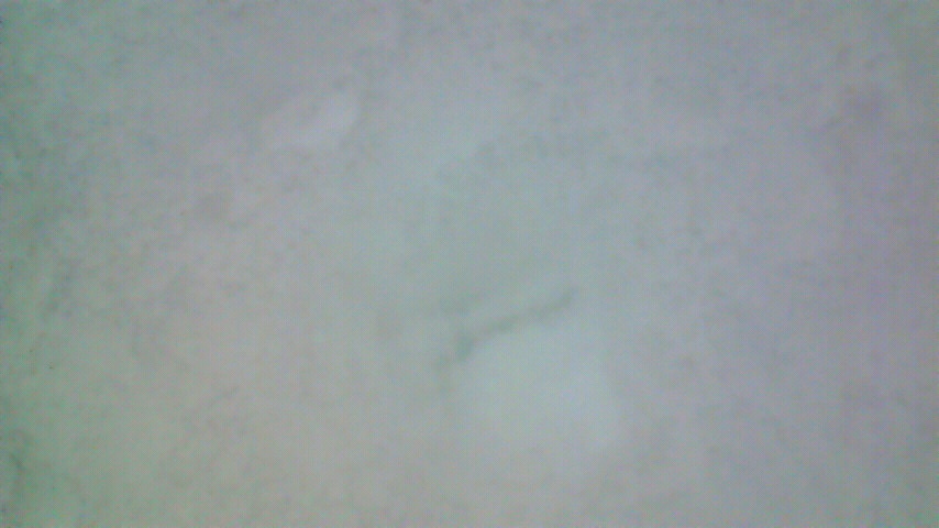 f:id:kaedeya:20190127114922j:plain f:id:kaedeya:20190127114922j:plain